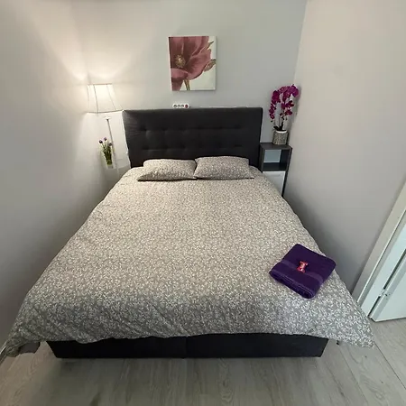 Randla 14 Apartment Tallinn